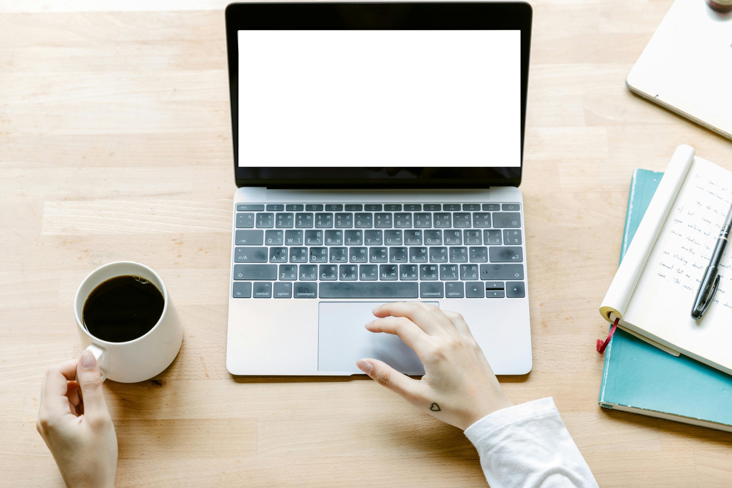 constatator online